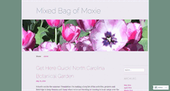 Desktop Screenshot of mixedbagofmoxie.com