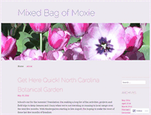 Tablet Screenshot of mixedbagofmoxie.com